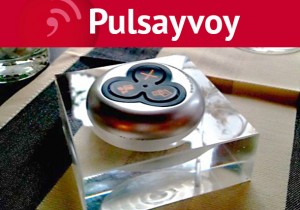 Pulsayvoy