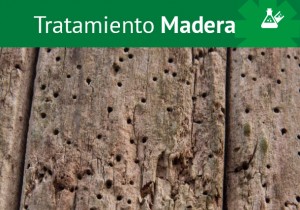 Tratamiento Madera