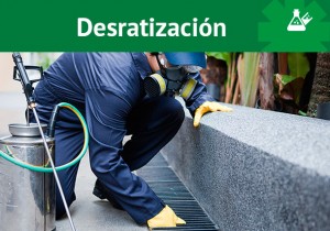Desaratización