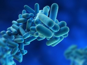 Control de Legionella