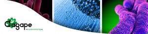 control de legionella en sevilla